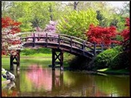 Amazing South
